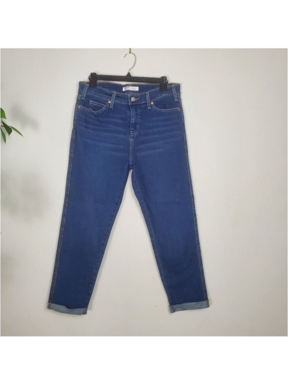 Levi Strauss Signature Gold Heritage Boyfriend Cropped Jeans 8x29